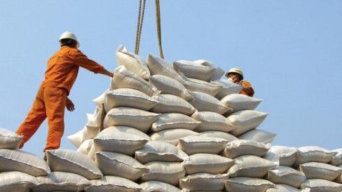 دولت به جای کاهش قیمت برنج خارجی مابه التفاوت میگیرد